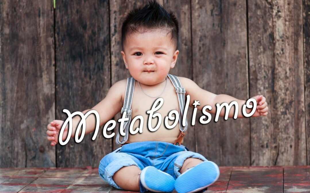 Metabolismo: Lo que creemos saber puede ser erróneo