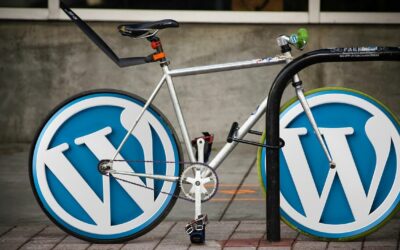 WordPress y la empresa, ¿Antagonistas?