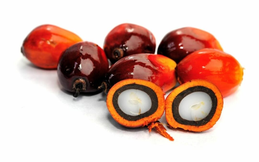 3 cosas por hacer contra el aceite de palma